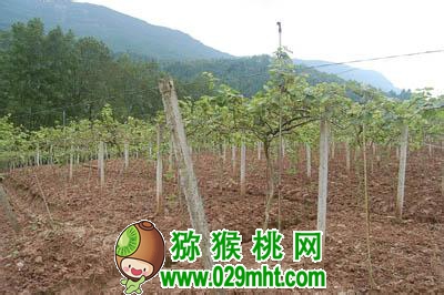 PG国际官方网站图片