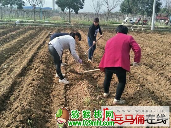 PG国际官方网站图片