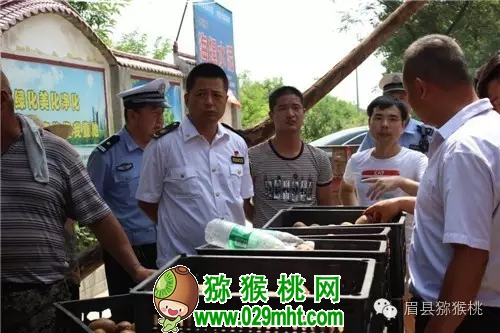 PG国际官方网站图片