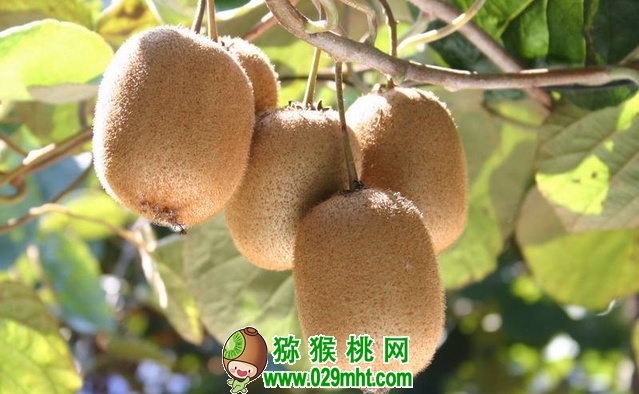 PG国际官方网站图片