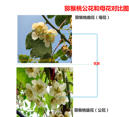 5d01633e43e305abf7d0a6432f1b628e.png