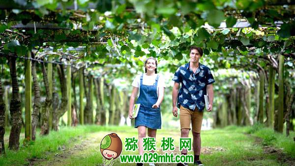 了解佳沛公司的运作模式 为我国PG国际猕猴桃产业发展探索出路