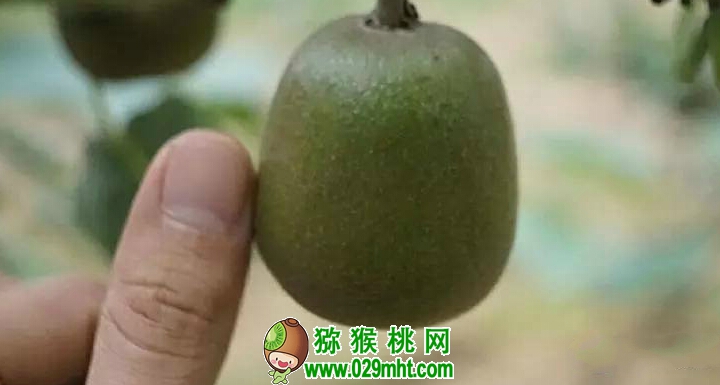 PG国际官方网站图片