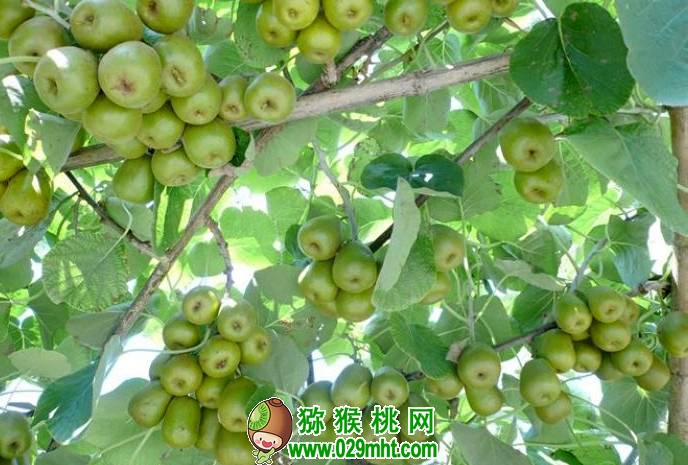 PG国际官方网站图片