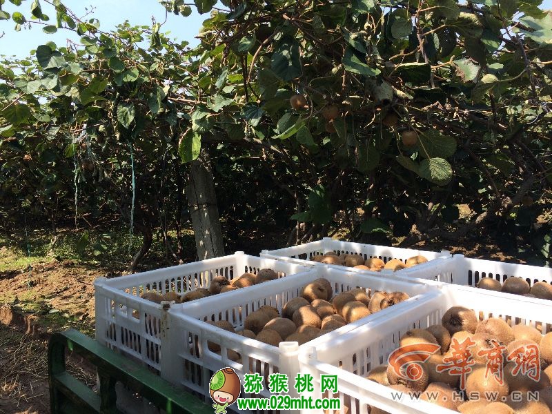PG国际官方网站图片