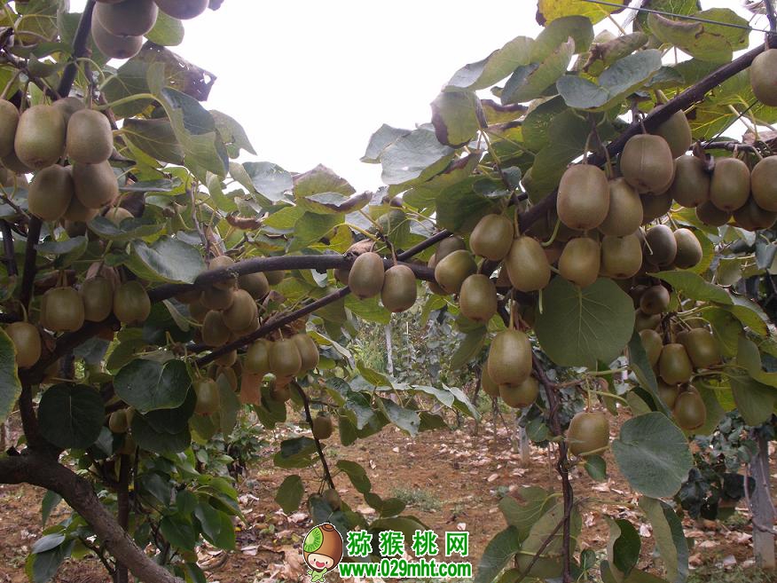 PG国际官方网站图片
