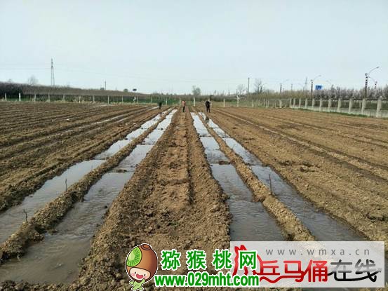 PG国际官方网站图片