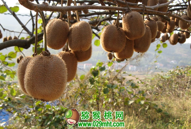 PG国际官方网站图片