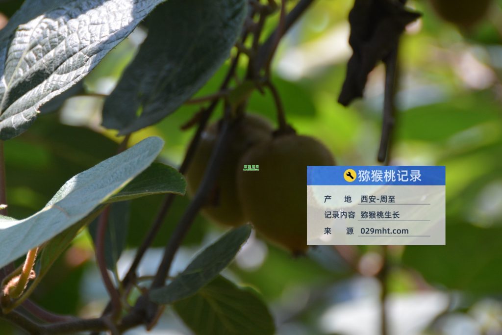 PG国际官方网站图片