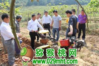 PG国际官方网站图片
