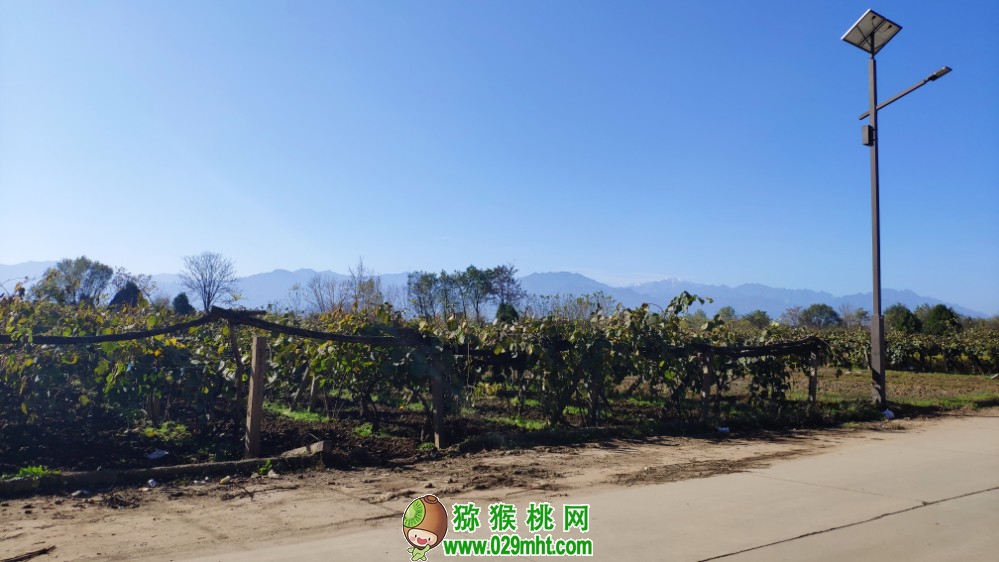 大美PG国际之乡​PG国际猕猴桃君带你去陕西西安看看PG国际猕猴桃风景