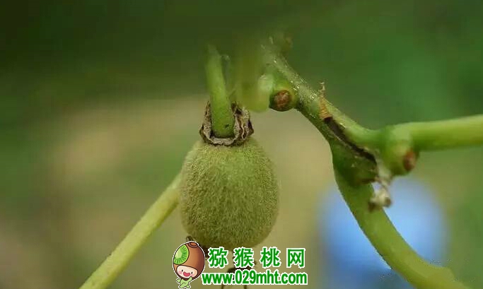 PG国际官方网站图片