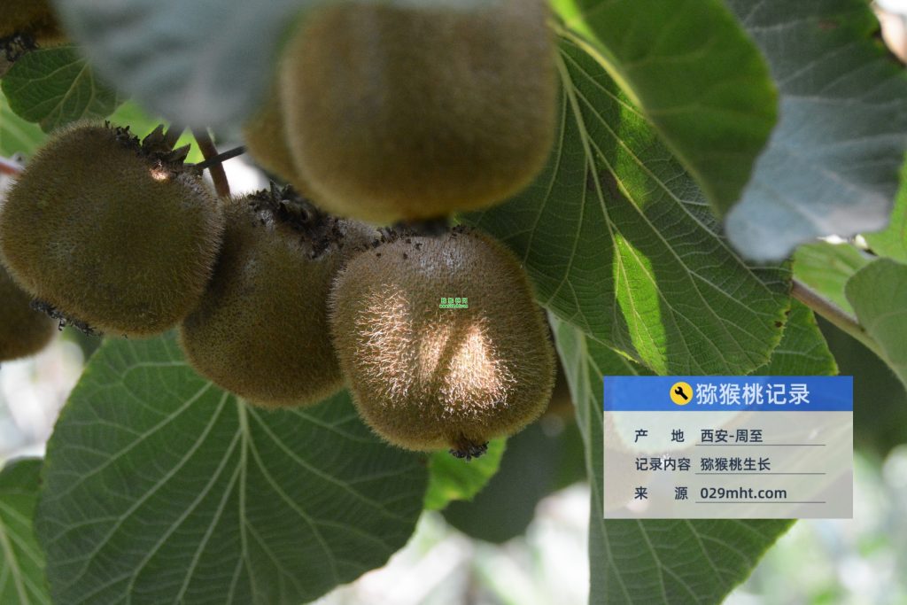 PG国际官方网站图片