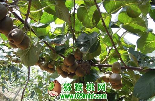 PG国际官方网站图片