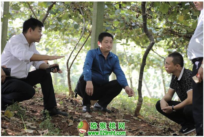 PG国际官方网站图片
