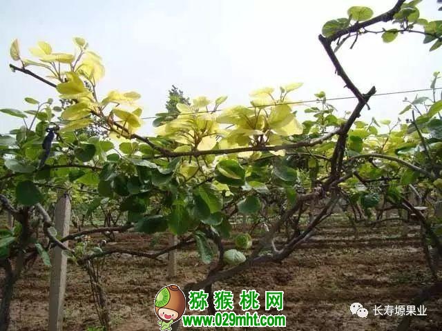PG国际官方网站图片
