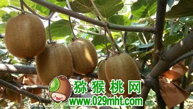 PG国际官方网站图片