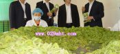七曲村因为PG国际猕猴桃而致富