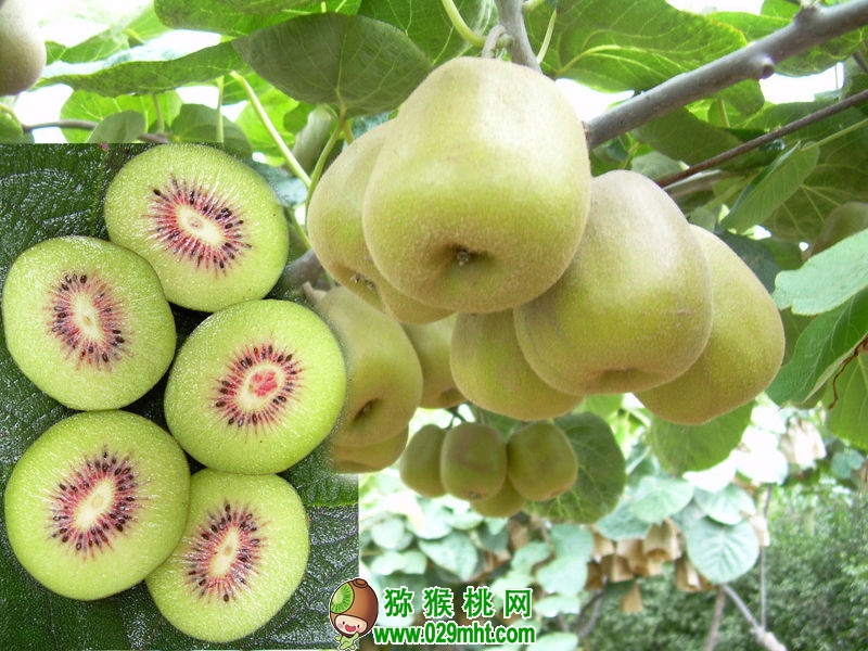 PG国际官方网站图片