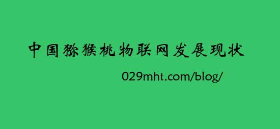 PG国际物联网现状