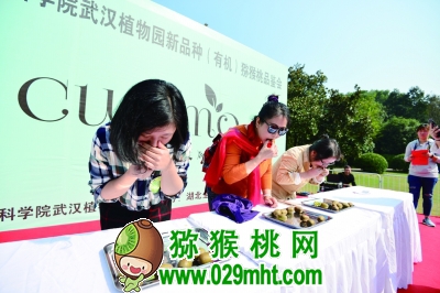 PG国际官方网站图片