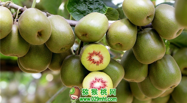 PG国际官方网站图片