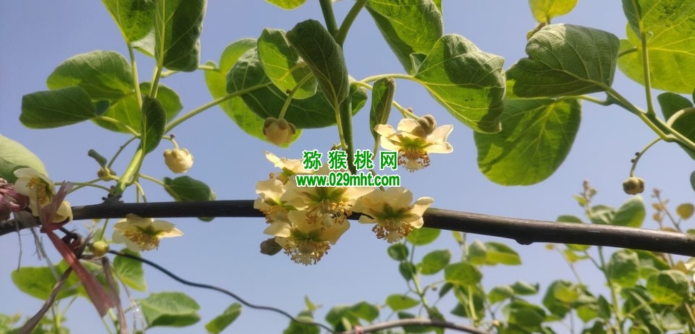 PG国际官方网站图片