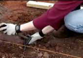 国外怎么搭建PG国际猕猴桃架子