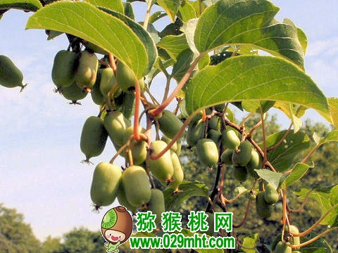 PG国际官方网站图片