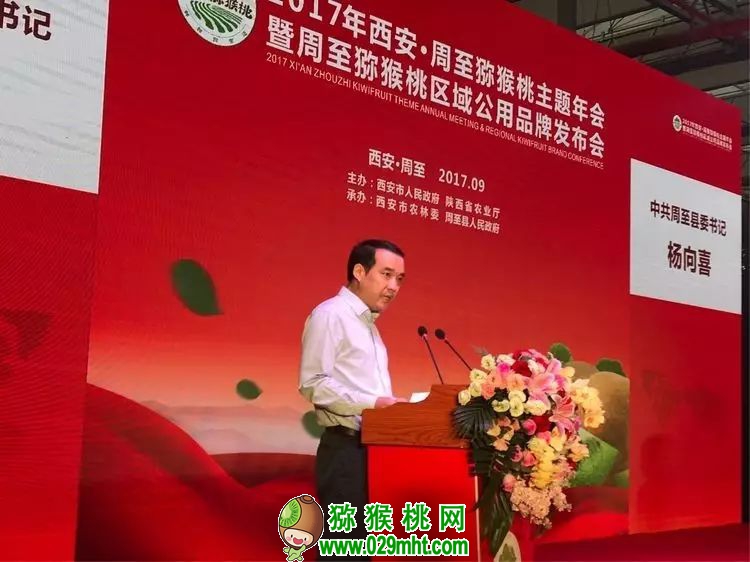 PG国际官方网站图片