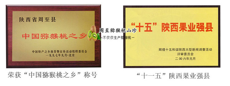 <a href=http://www.summer2018.cn/zhouzhimihoutao/ target=_blank class=infotextkey />周至PG国际猕猴桃</a>荣誉