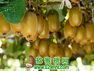 PG国际官方网站图片