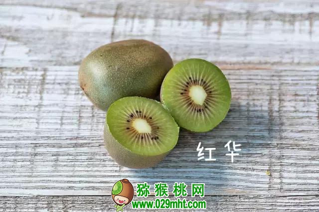 PG国际官方网站图片