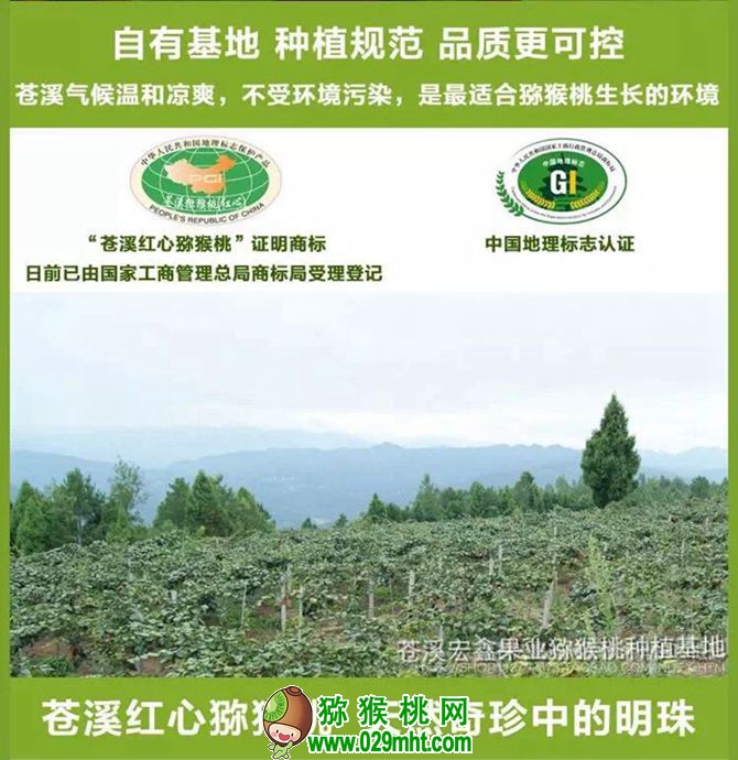 PG国际官方网站图片