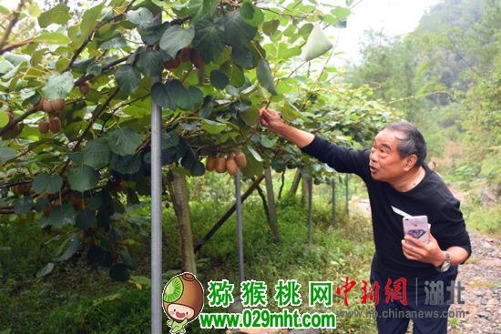 PG国际官方网站图片