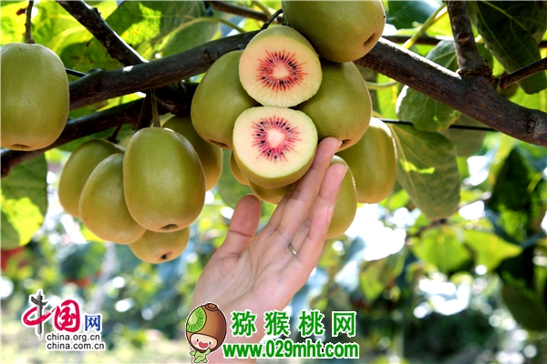 PG国际官方网站图片
