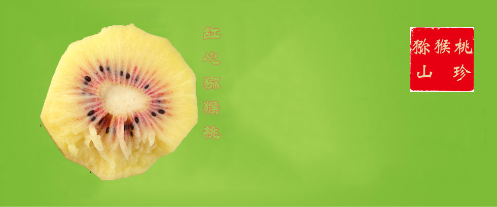 PG国际 541f5