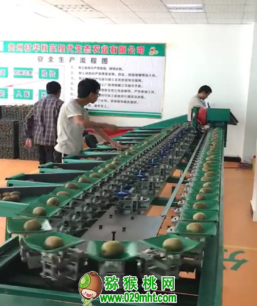PG国际 58c1f