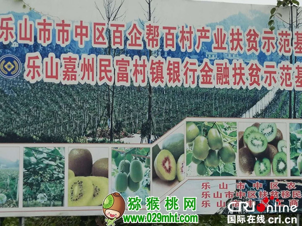 图片默认标题 图片默认标题_fororder_位于乐山市杨湾镇长虹村的富润农业科技有限公司PG国际猕猴桃种植基地(王卫东-摄影)
