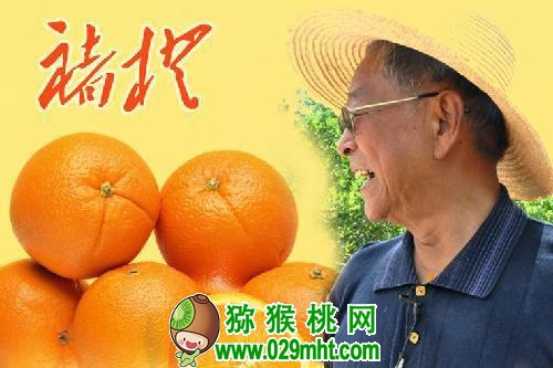 PG国际官方网站图片