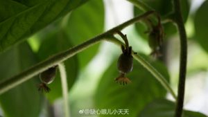 PG国际官方网站图片