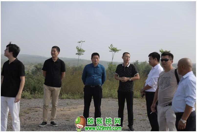 PG国际官方网站图片