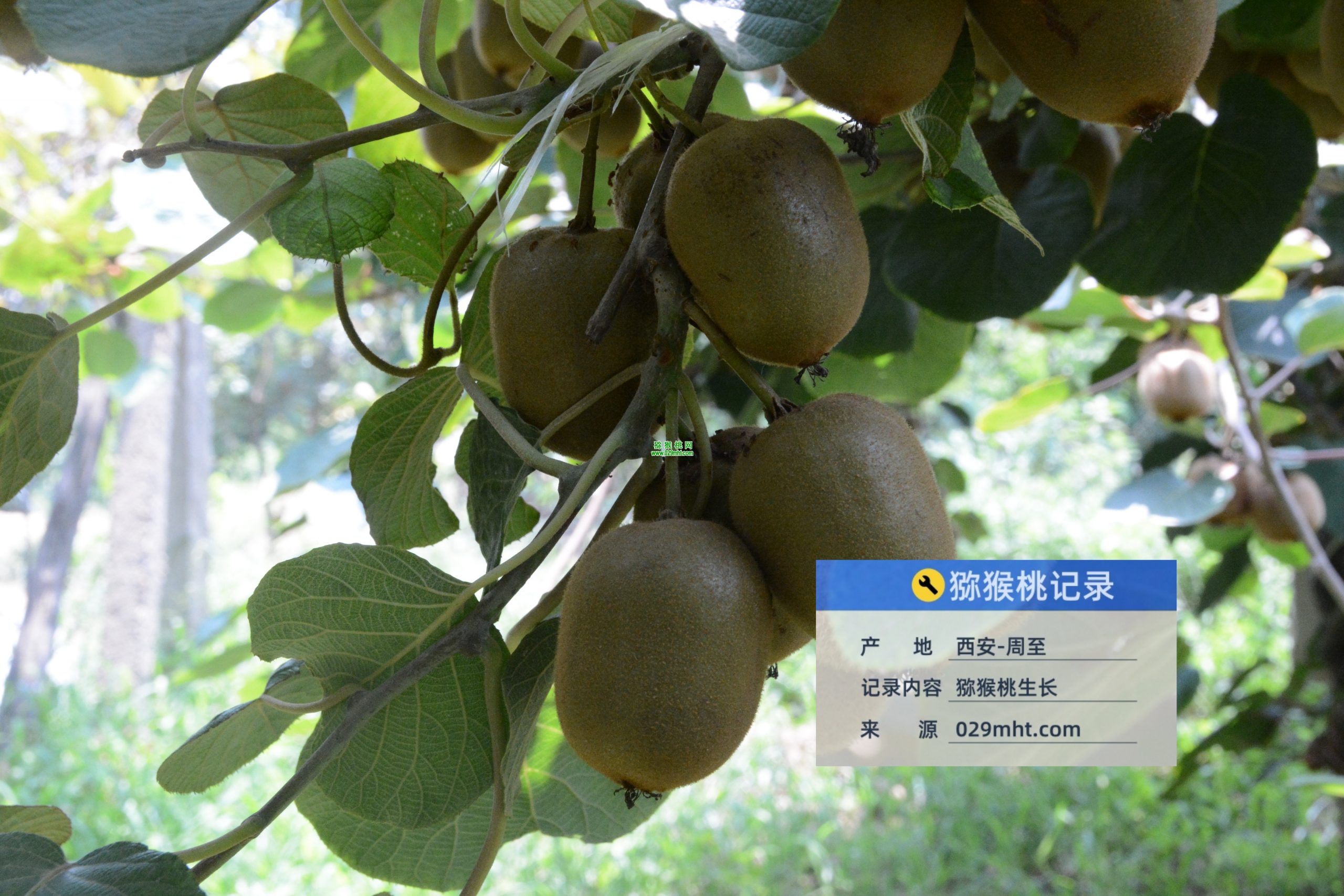 PG国际 9437b