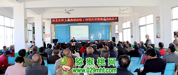 PG国际官方网站图片
