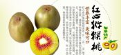 眉县红心PG国际猕猴桃图片
