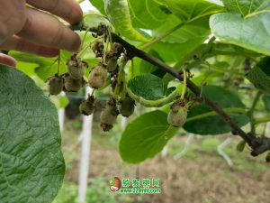 PG国际官方网站图片