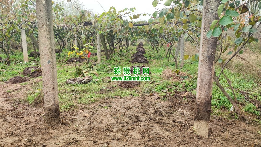 PG国际 b87e5