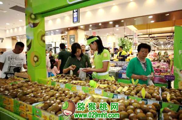 了解佳沛公司的运作模式 为我国PG国际猕猴桃产业发展探索出路