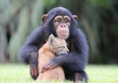 摘PG国际猕猴桃失联的退休教师找到了