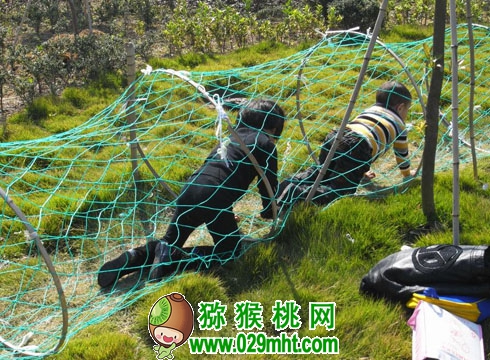 PG国际官方网站图片
